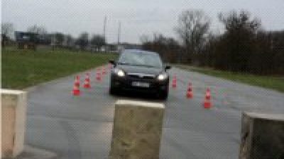 Ford i BP partnerami SBJ Tomasza Czopika
