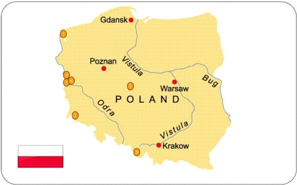 DKV „BOTTOM-UP”, CZYLI TANIE PALIWO NA STACJACH PRYWATNYCH