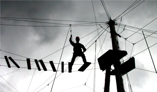Dlaczego nadmiar zaufania może być śmiertelny dla innowacyjności?