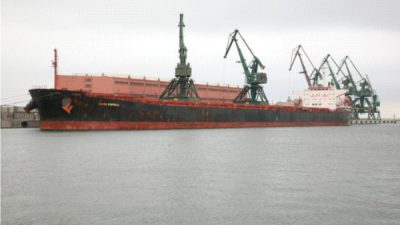 Gigant w Gdyni