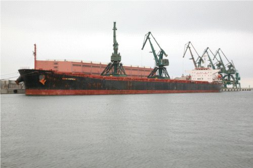 Gigant w Gdyni