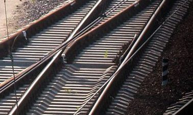 Track Tec dostarcza podkłady do Szwajcarii