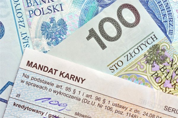 Mandaty nie tylko dla piratów