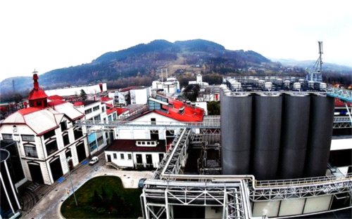 Trans Trade Żywiec po raz kolejny przedłuża umowę z Continental