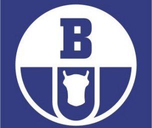 Boryszew bliski przejęcia Tensho Poland Corporation