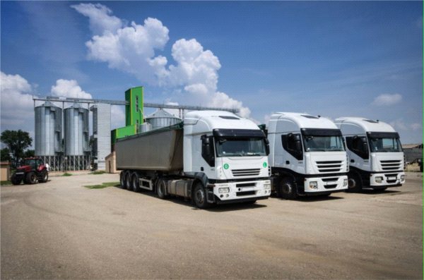 300 kilogramów, które może nas kosztować 12 miliardów euro!