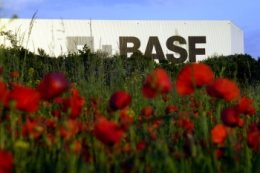 Metoda na wzrastającą złożoność w logistyce: Jak koncern chemiczny BASF zarządza swoją europejską siecią dystrybucji