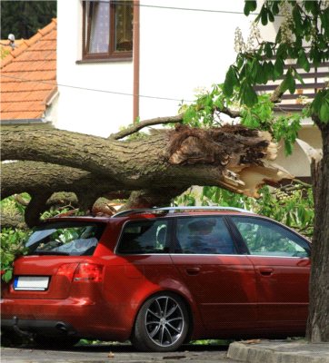 Cała prawda o ubezpieczeniach cz. 1