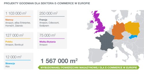 Goodman dla e-commerce