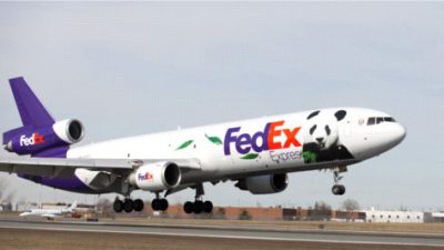 FedEx publikuje globalny raport CSR