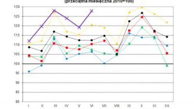 Produkcja przemysłowa po I półroczu