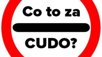 Zmiany w odprawach i kontrolach celnych – CUDO