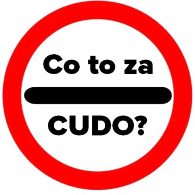 Zmiany w odprawach i kontrolach celnych – CUDO