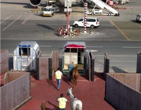 Konie sportowe i Emirates SkyCargo