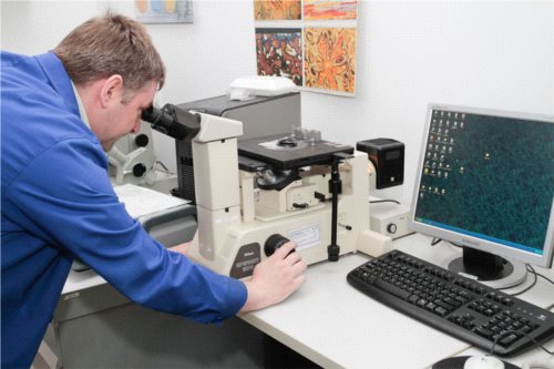 Impexmetal tworzy światową innowację w metalurgii
