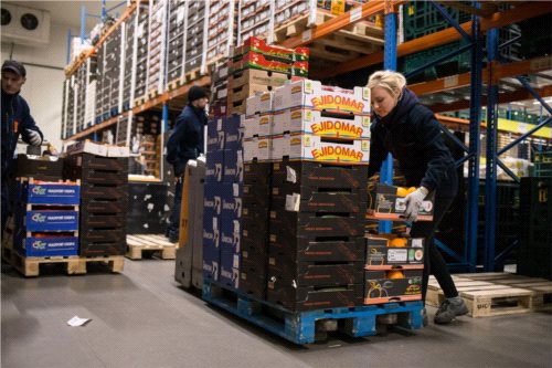 FM Fresh z certyfikatem IFS Logistics