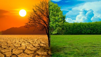 Zmiana klimatu – efekty wyzerowania emisji CO2