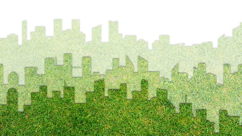 Pandemia nie może oznaczać, że zrównoważony rozwój przestał być istotny