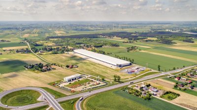 Właściciel Bambino w Hillwood Kutno