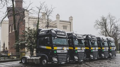 Nowe DAF w LINK