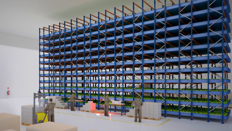 Plantlab rozpoczyna produkcję sałaty rzymskiej i jesiotra w magazynie Hillwood w Kutnie
