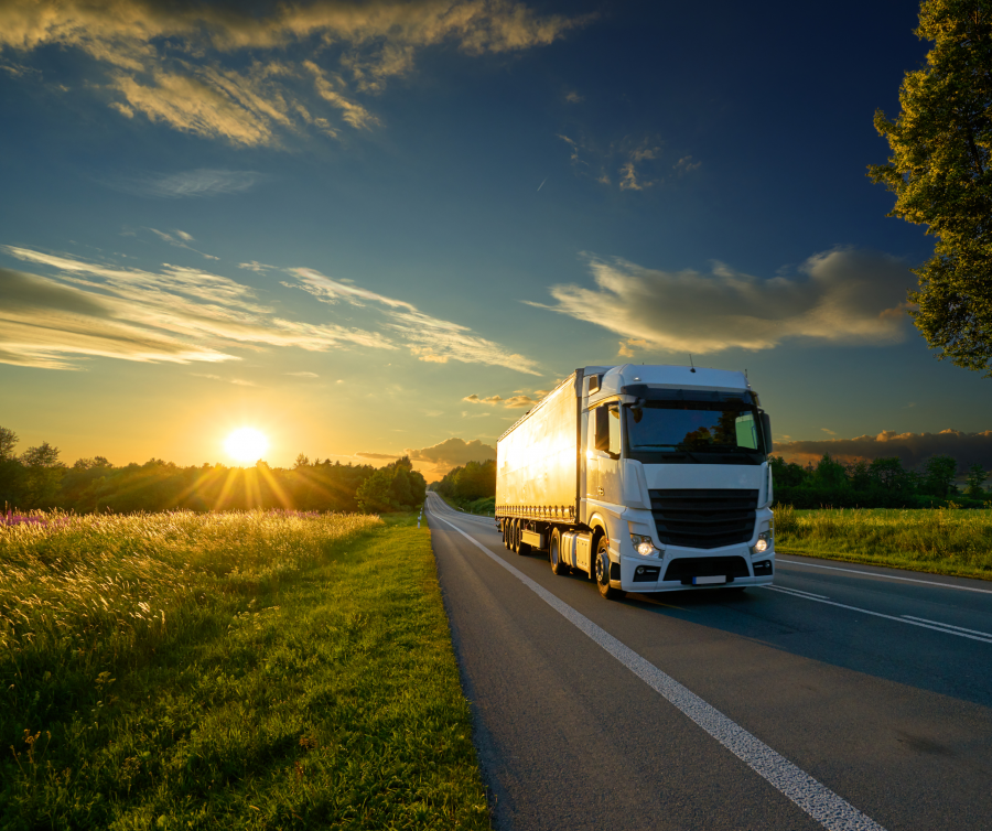 Kary finansowe dla firm transportowych za przemyt papierosów