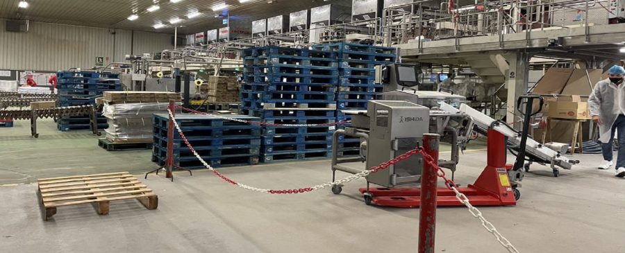 Frit Ravich wykorzystuje systemy RAVAS do procesu dozowania i porcjowania