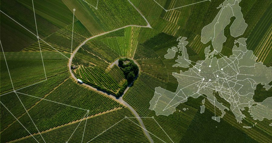 Grupa Raben na targach Transport Logistic 2023 w Monachium