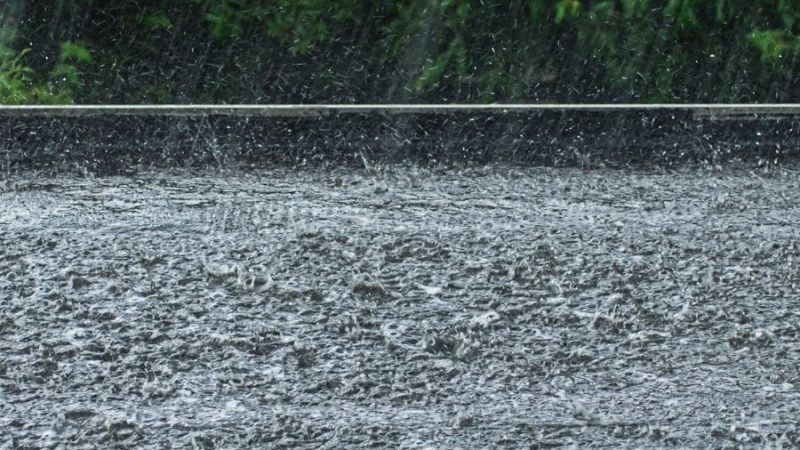 Monitoring dachów płaskich w naszym klimacie – konieczny dla bezpieczeństwa!