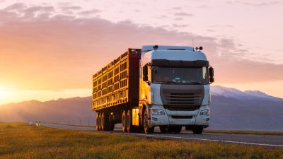 Wysokie kary za brak rejestracji w rumuńskim systemie e-Transport