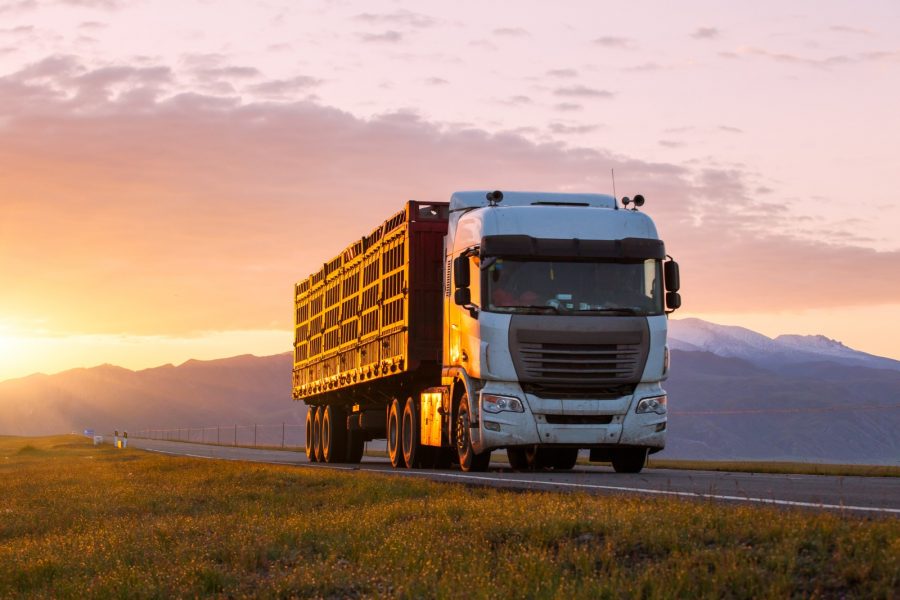 Wysokie kary za brak rejestracji w rumuńskim systemie e-Transport