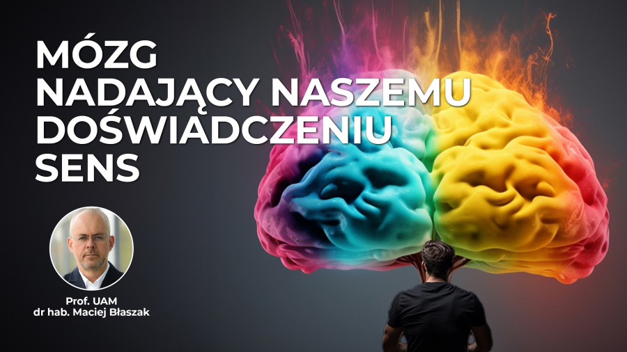 Mózg nadający naszemu doświadczeniu sens