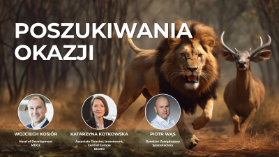 Poszukiwania okazji