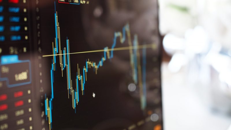 Amica stawia na globalną transformację cyfrową