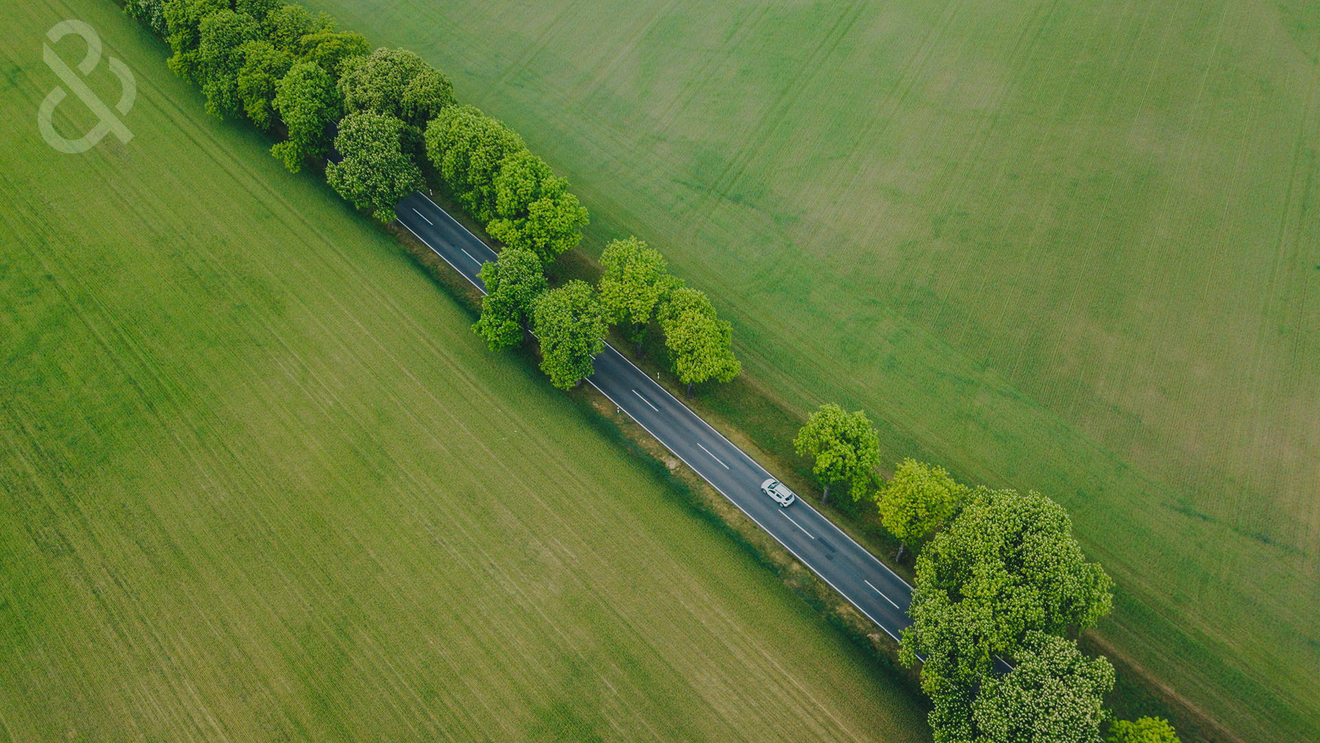 Program DunTrade – rozwiązanie dla firm logistycznych i transportowych