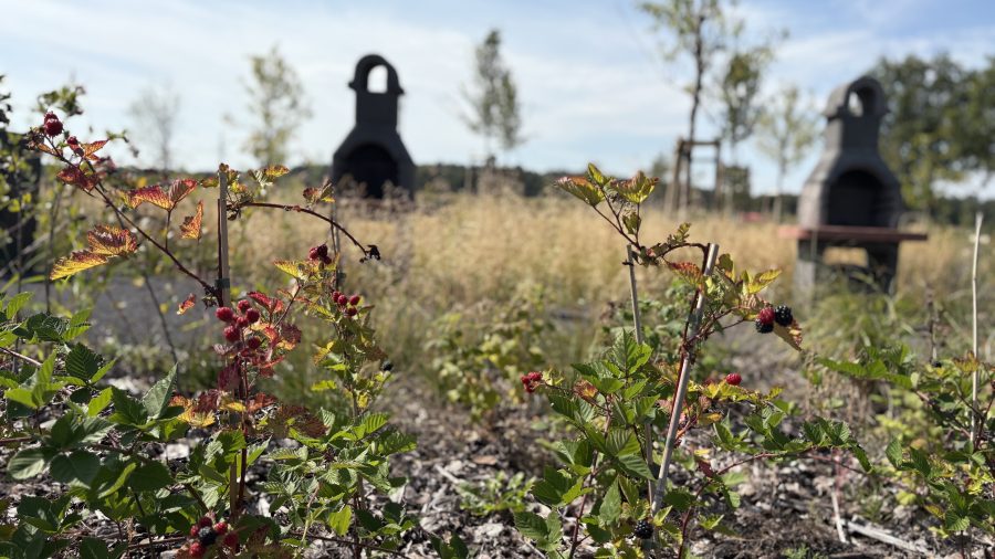 Bioróżnorodność w praktyce