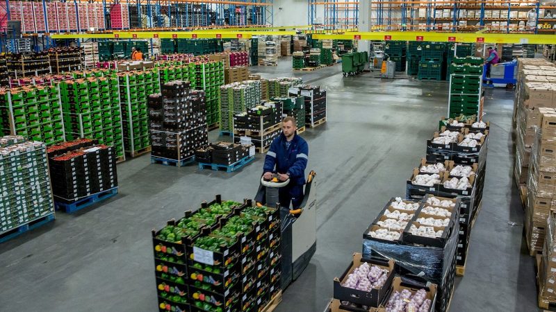 Bezpieczeństwo logistyki segmentu fresh