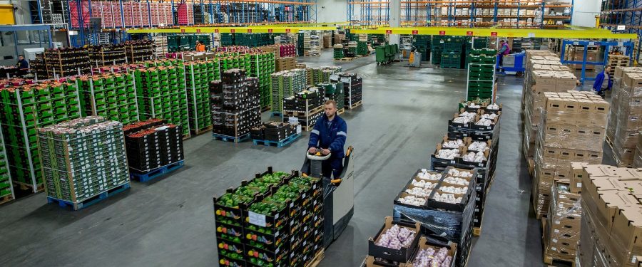 Bezpieczeństwo logistyki segmentu fresh