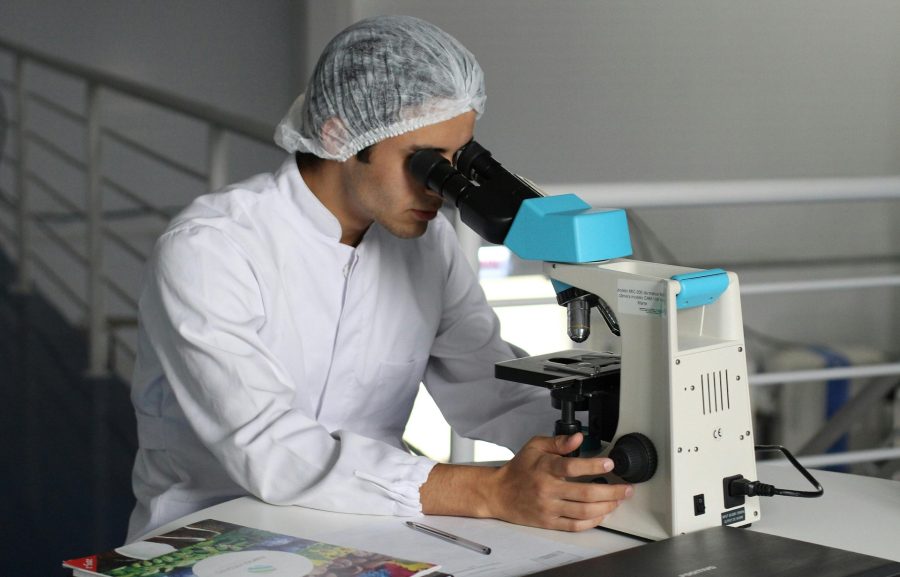 28% firm będzie rekrutować, 18% planuje redukcje