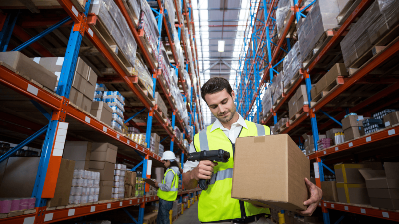 System WMS dla początkujących: co warto wiedzieć?