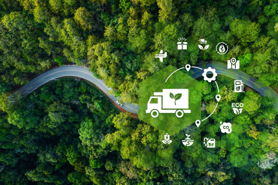 Mniej spalin, więcej drzew: jak optymalizator tras Routimo wspiera zieloną logistykę