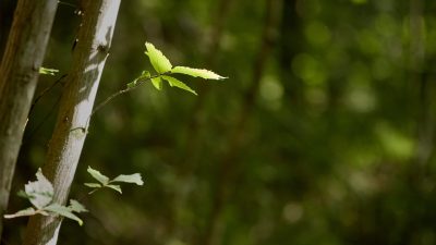 Od pilotażu do pełnej cyrkularności
