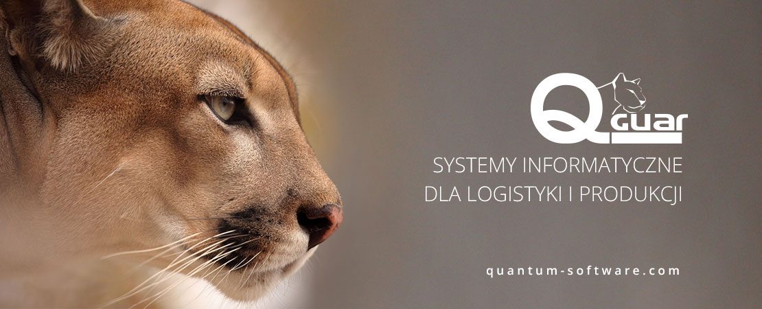 Quantum software